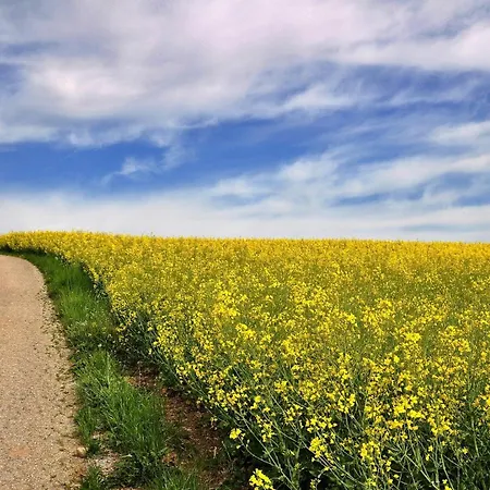 Wohngesundes Oekohaus 'heimathafen' Ottendorf (Saxony)
